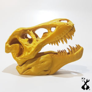 teschio-T-rex stampa 3d